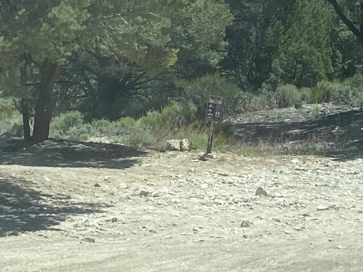 Round Valley - 2N61Y trail photo