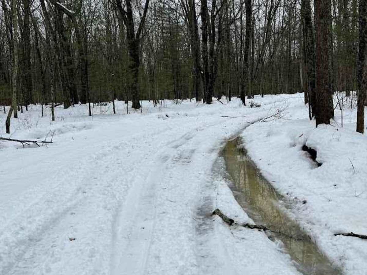 Whelan Lake Trail (NFS 6661/6716) photo 3