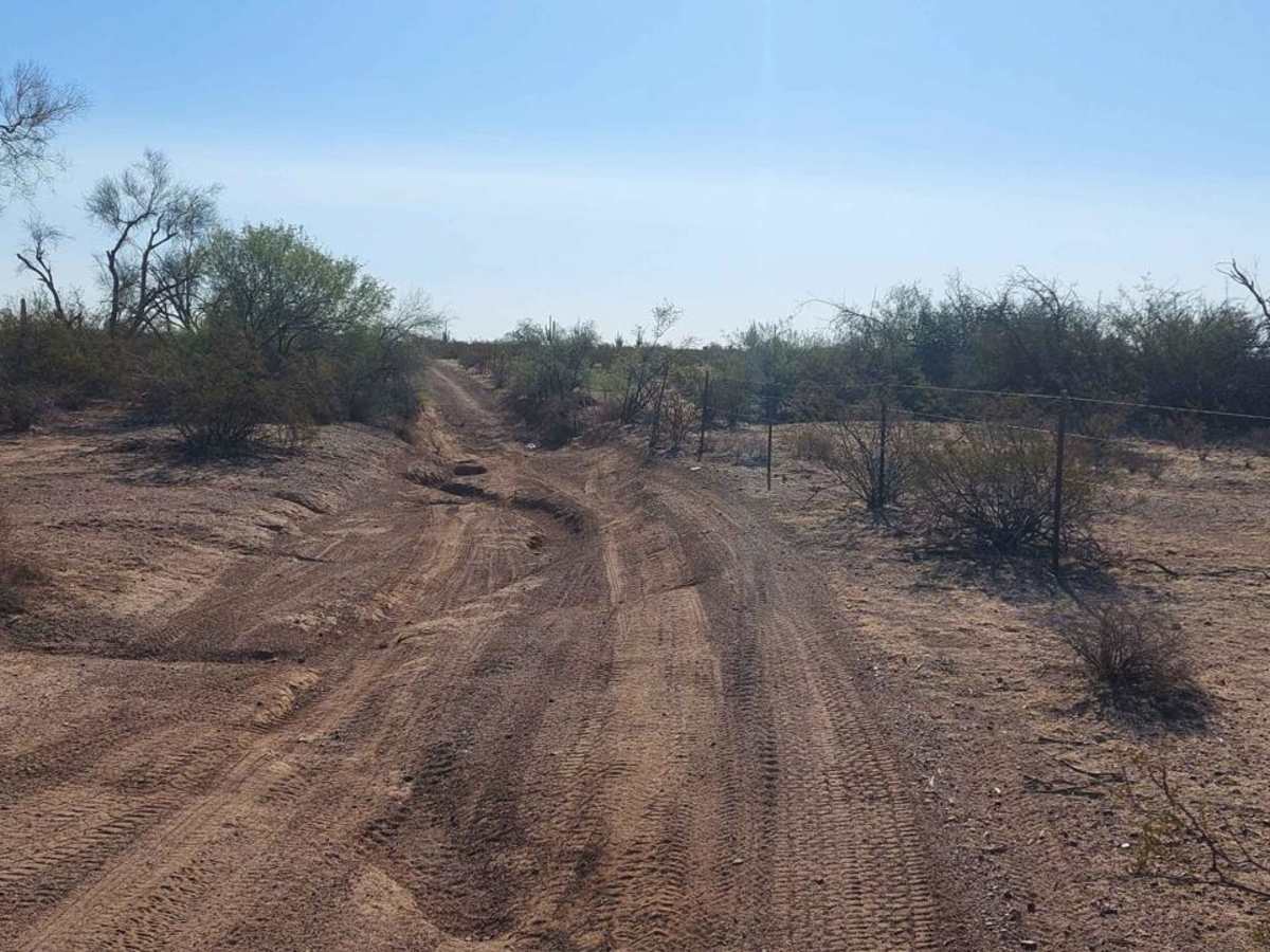 Black Mountain Road photo 4