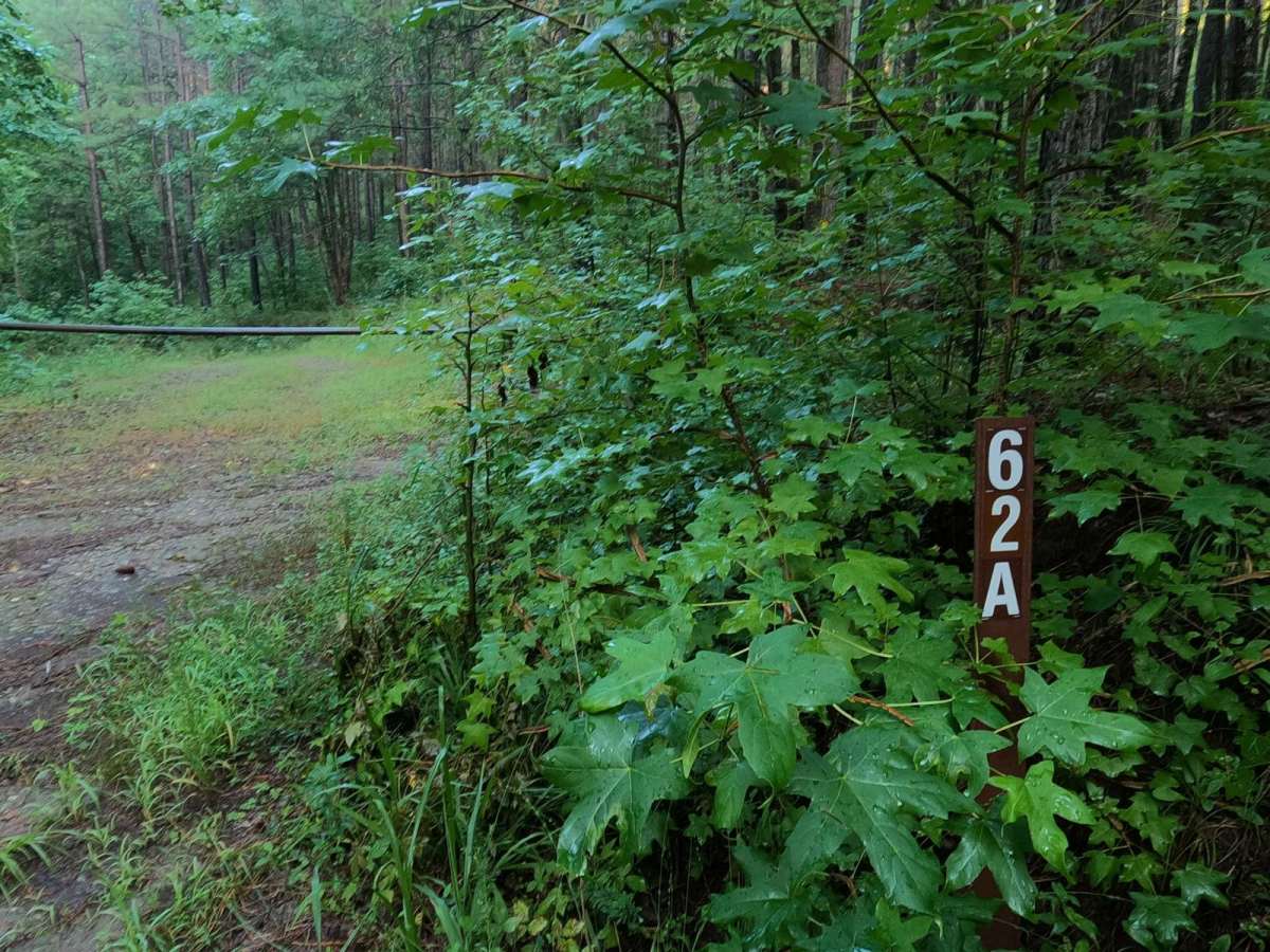 Currahee Mountain Road FSR 62 photo 6