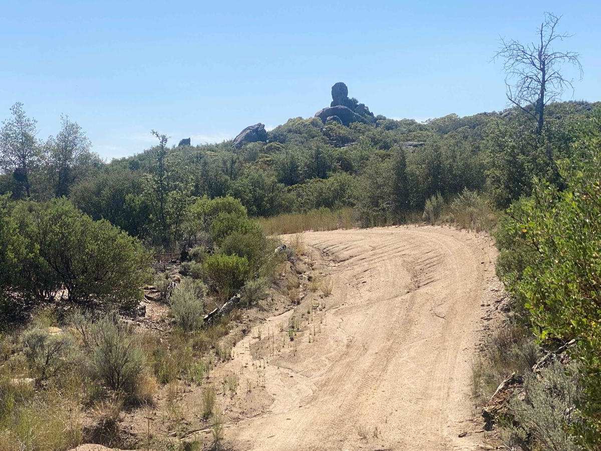 Pine Forest Trail to Laguna Hanson Cerro San Pedro photo 5