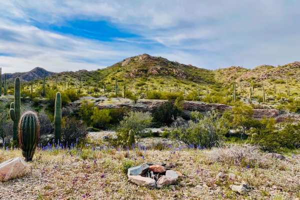 Canyon Camp Loop Ajo