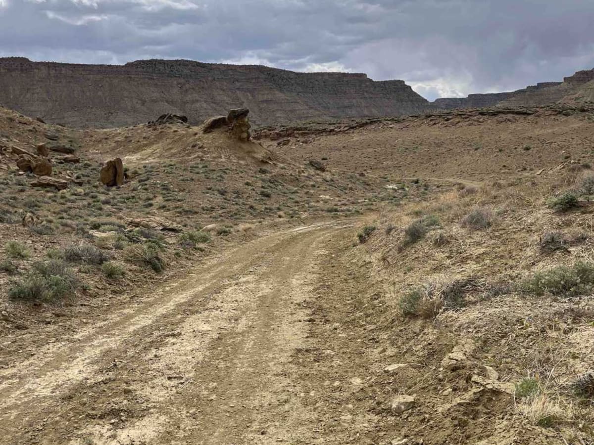 Heads of the Creek Road photo 5