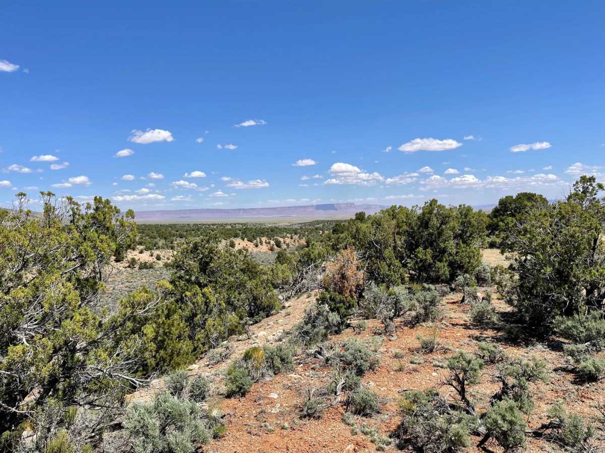 East Game Road photo 3
