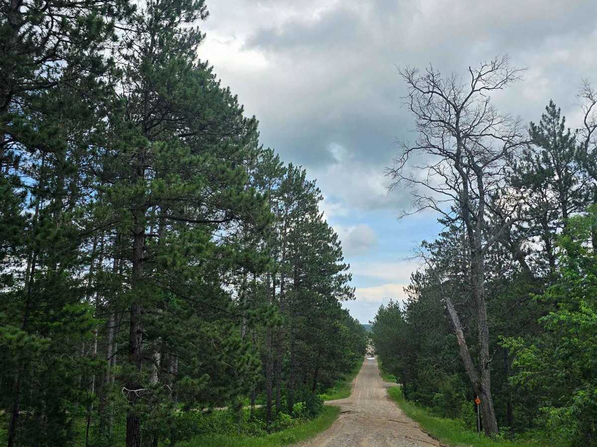 County Line photo 3