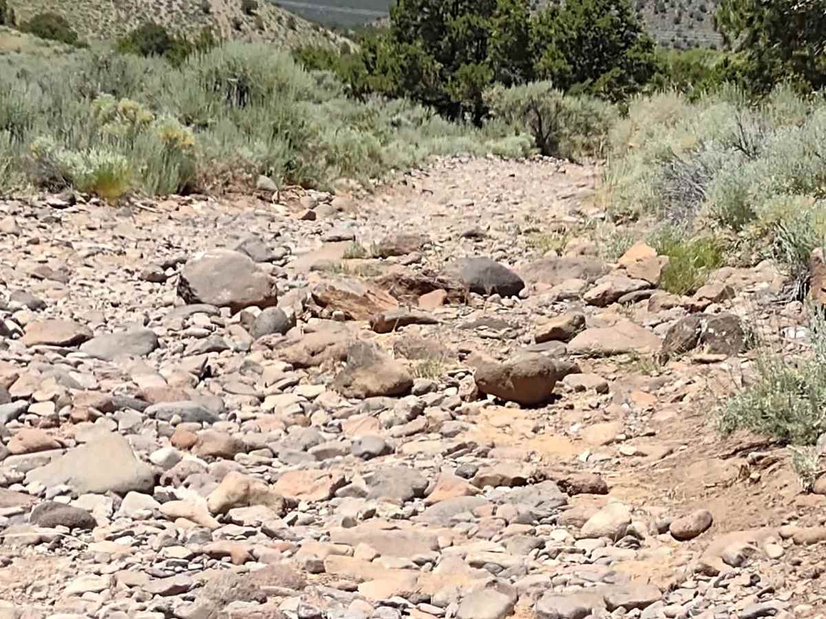 City Creek Canyon (FS# 40133) trail photo