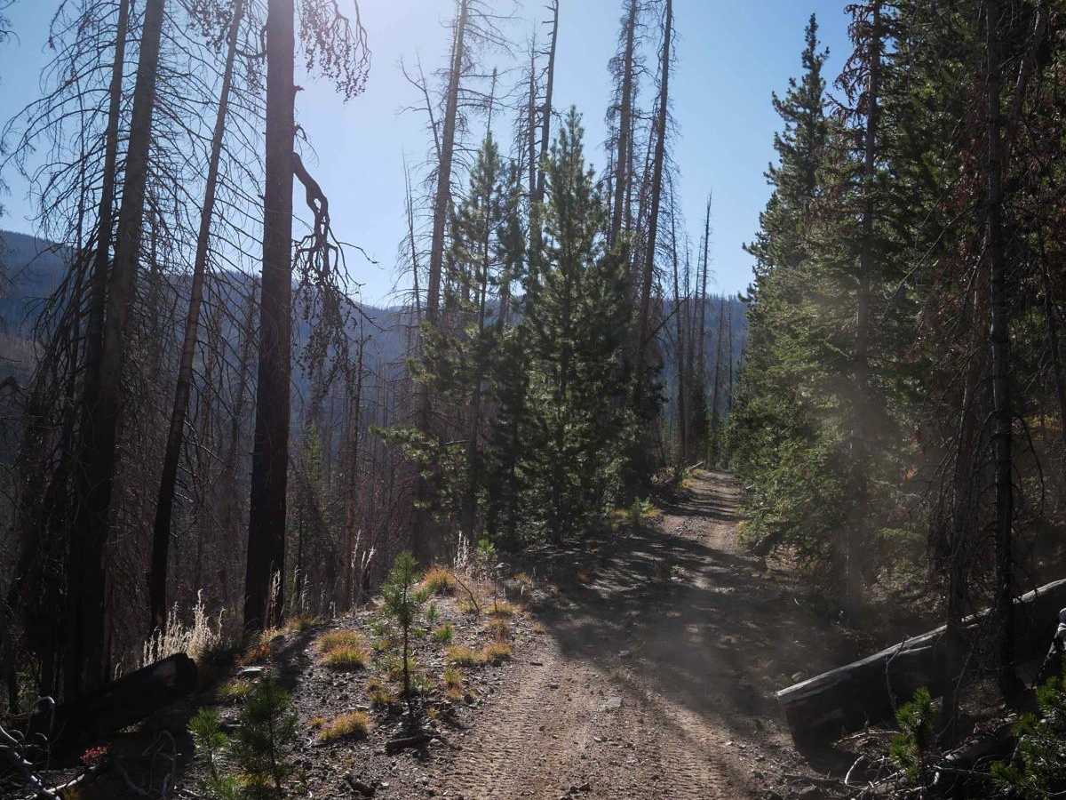 Richey Creek ATV Trail photo 5