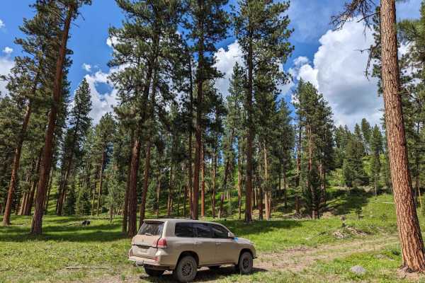 Gold Creek Trail 126 (Seasonal Access)