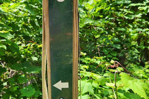 Trail 6 - Rock Run Recreation Area