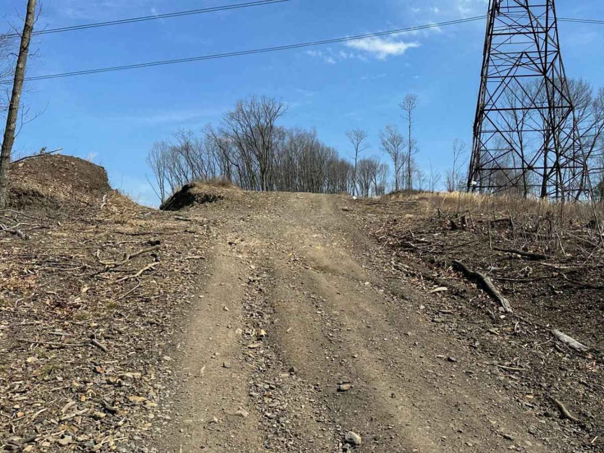 Ashland 18 photo 3