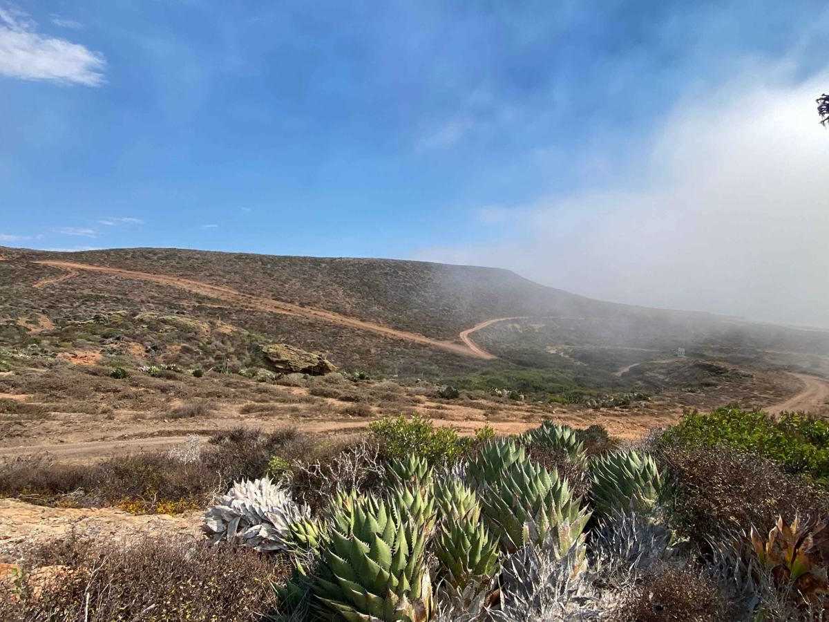 Erendira Highway to Coastal Route South trail photo