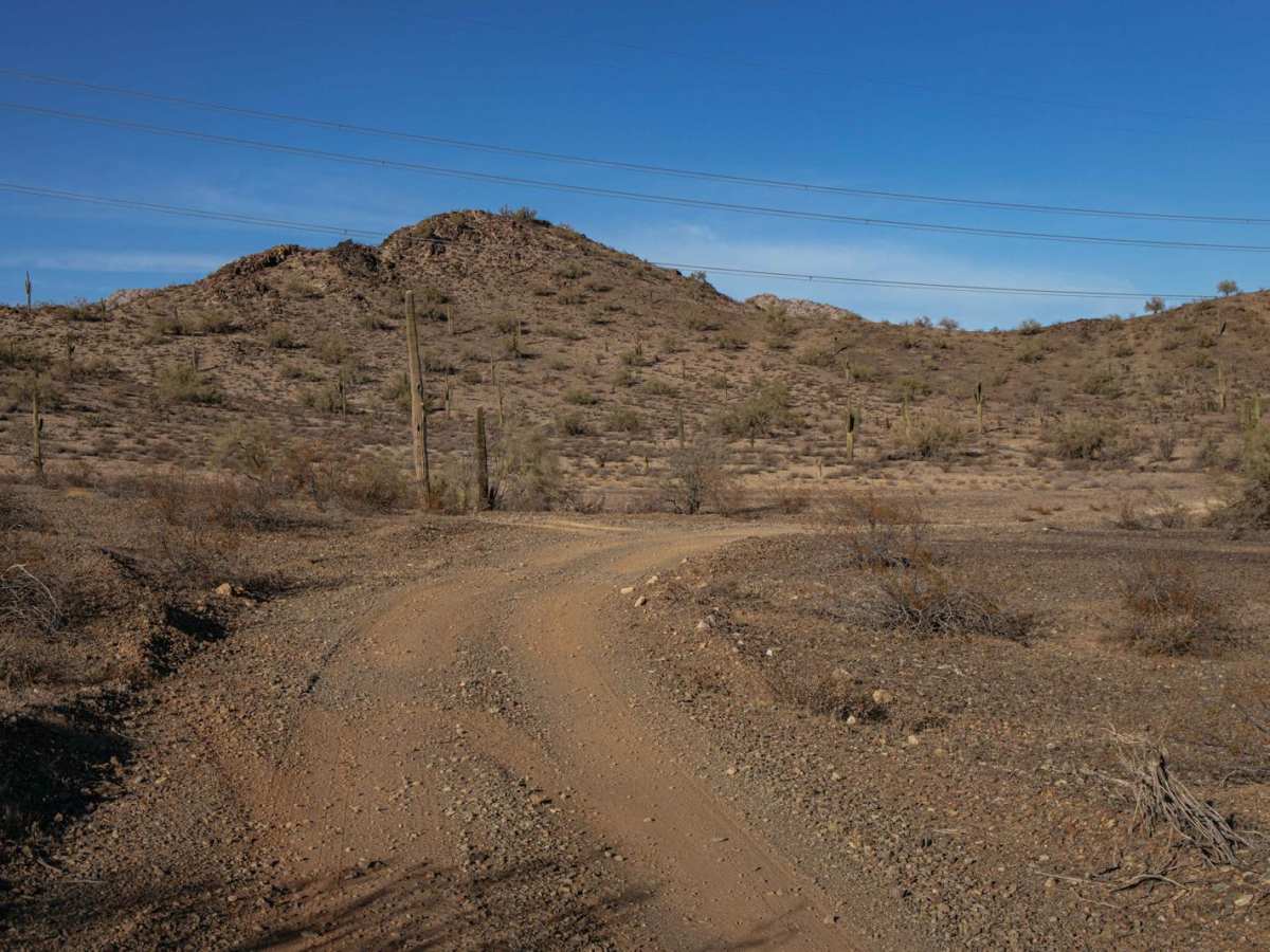 Saguaro Power photo 3