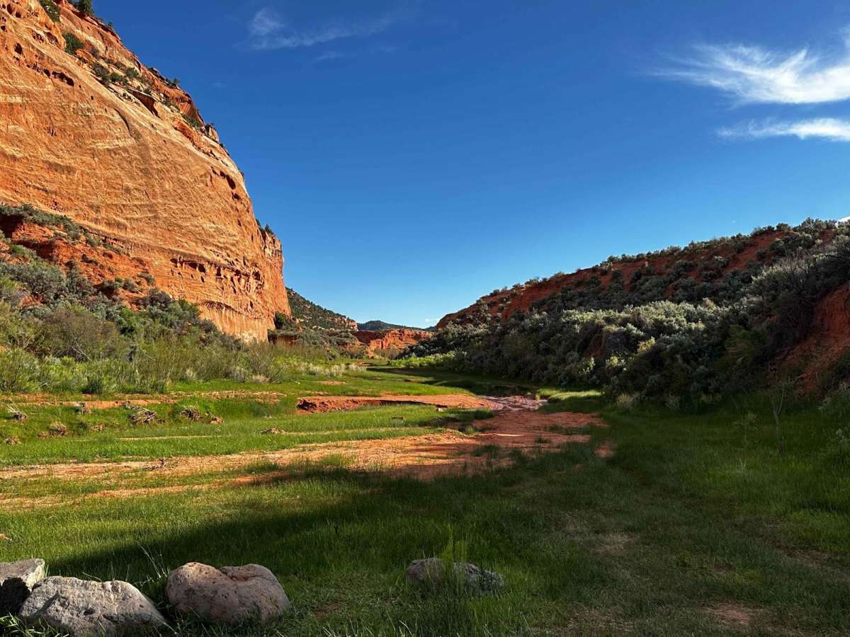 Pleasant Creek (South Draw Road) photo 6