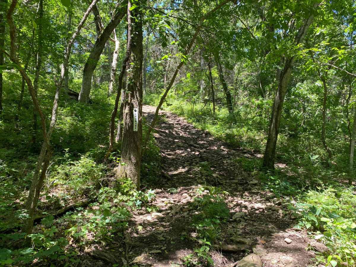 Upgrade trail photo