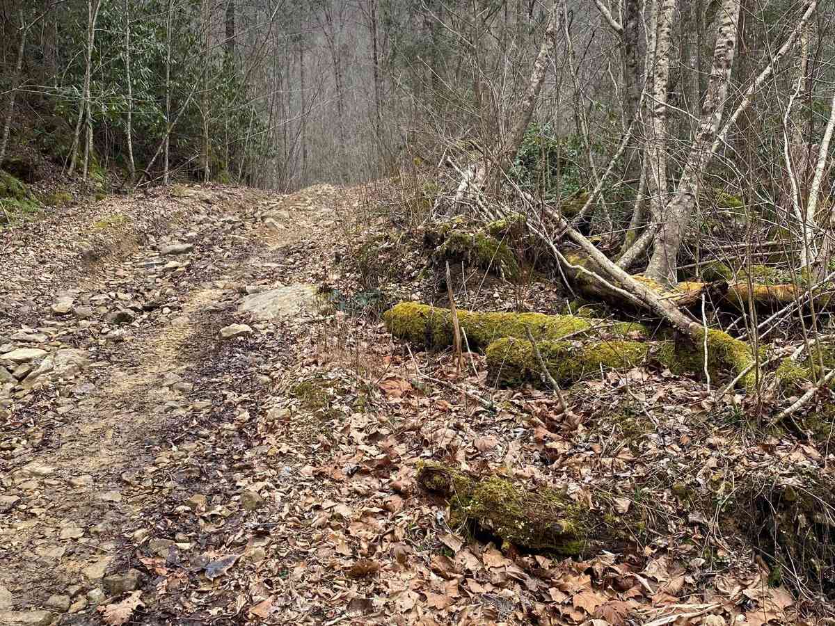Trail 86 Windrock photo 4
