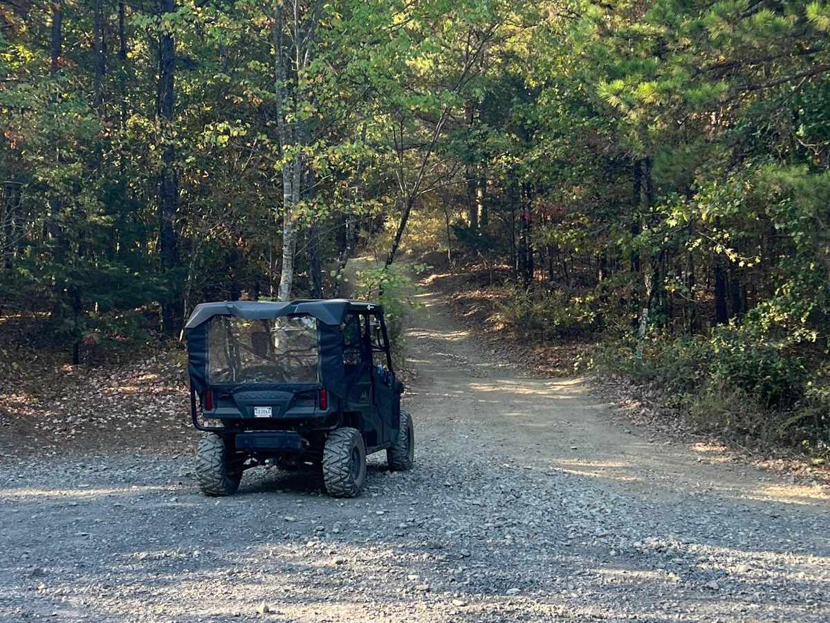 Forest Road - N09A trail photo