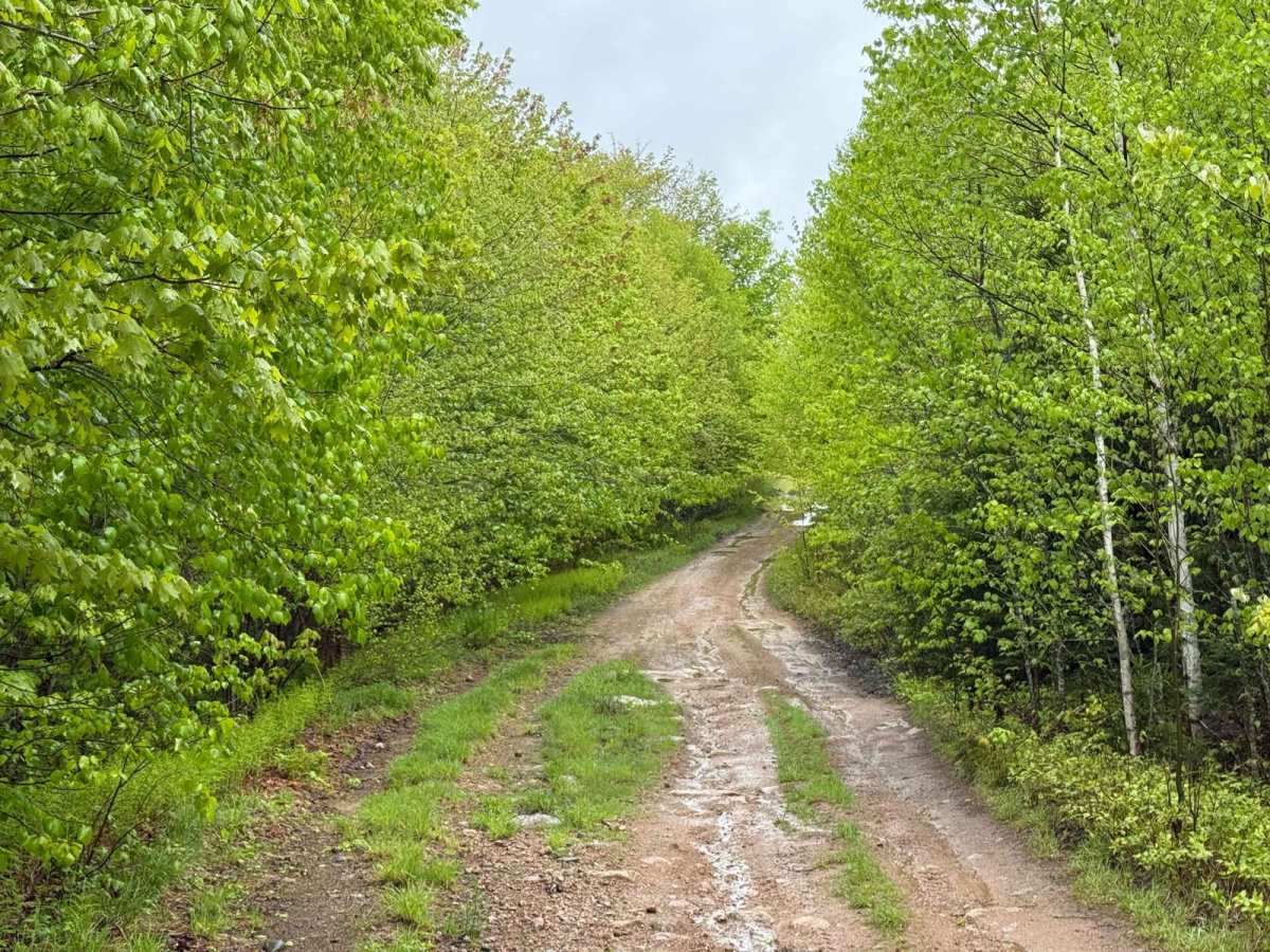 Granite Lane Trail photo 6