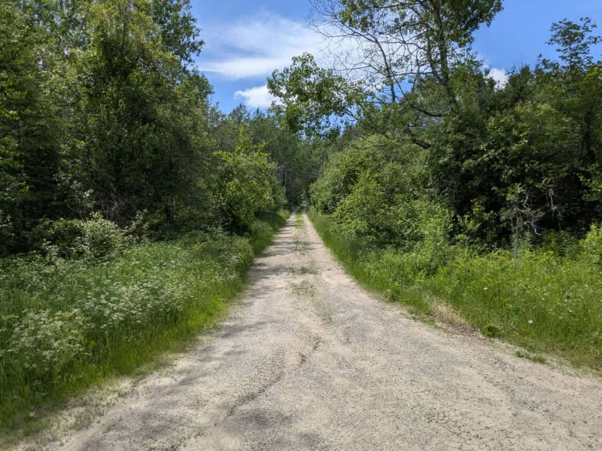 Roini Road photo 6