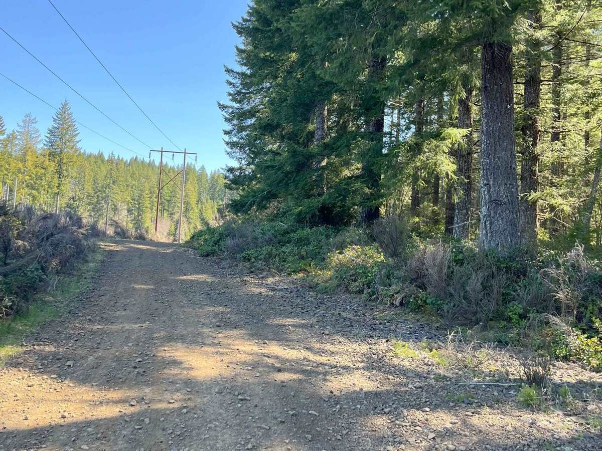 Brown's Powerline Connector photo 6