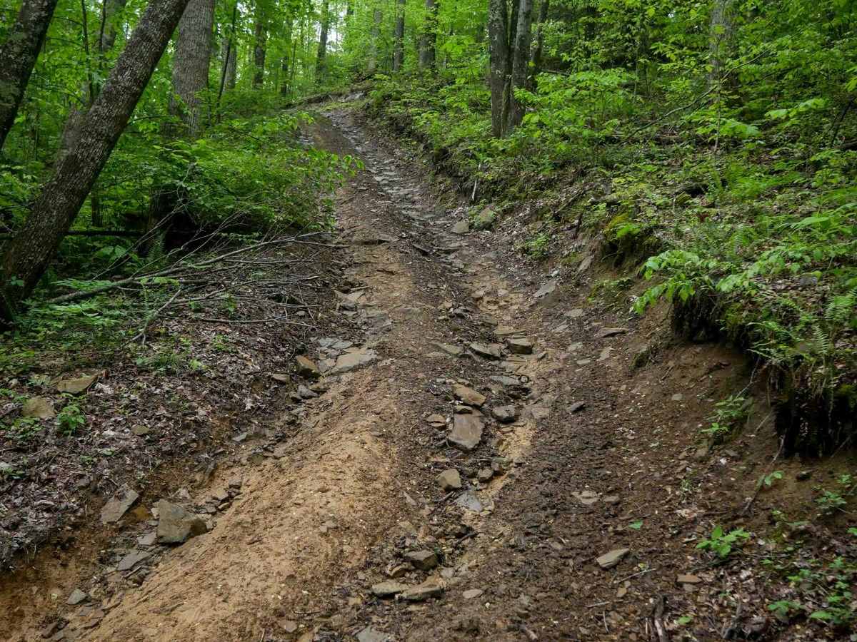 OP 36 trail photo