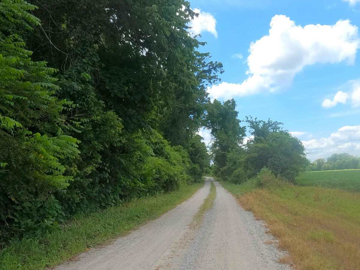 LaRue Road - FS 345 photo 6