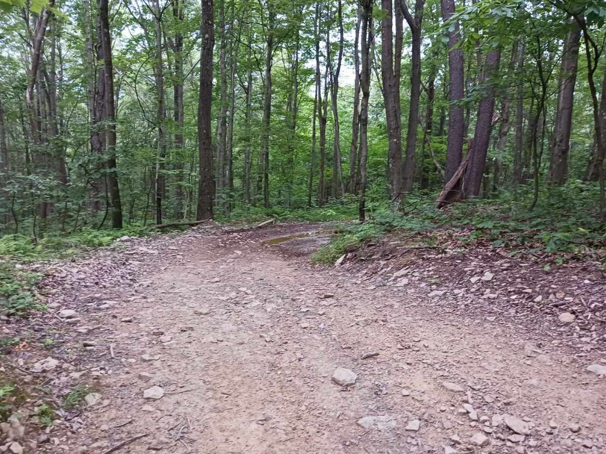 Trail 1B - Rock Run Recreation Area photo 3