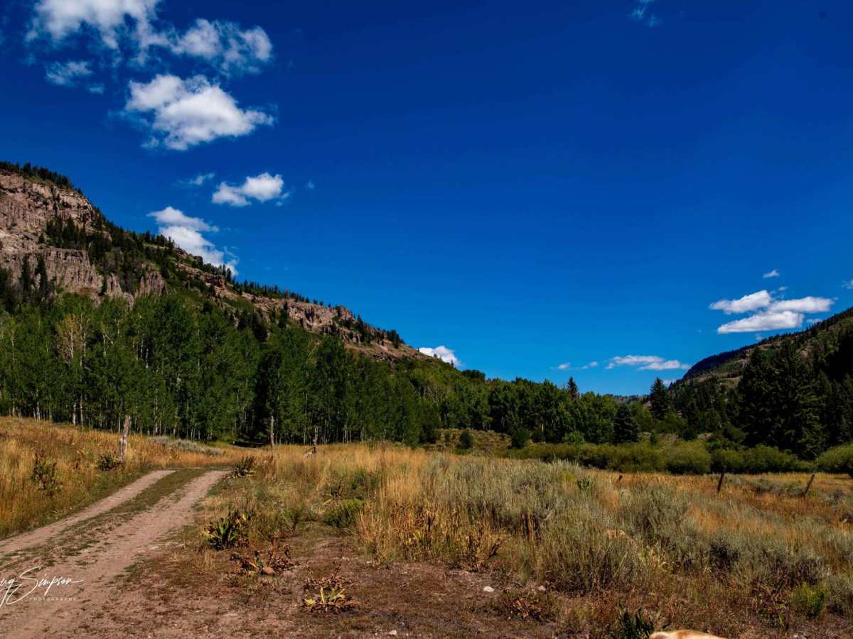 Curecanti Creek Road FR 720 photo 3