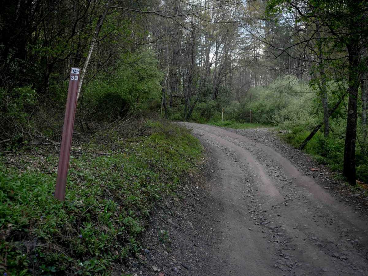P33 trail photo