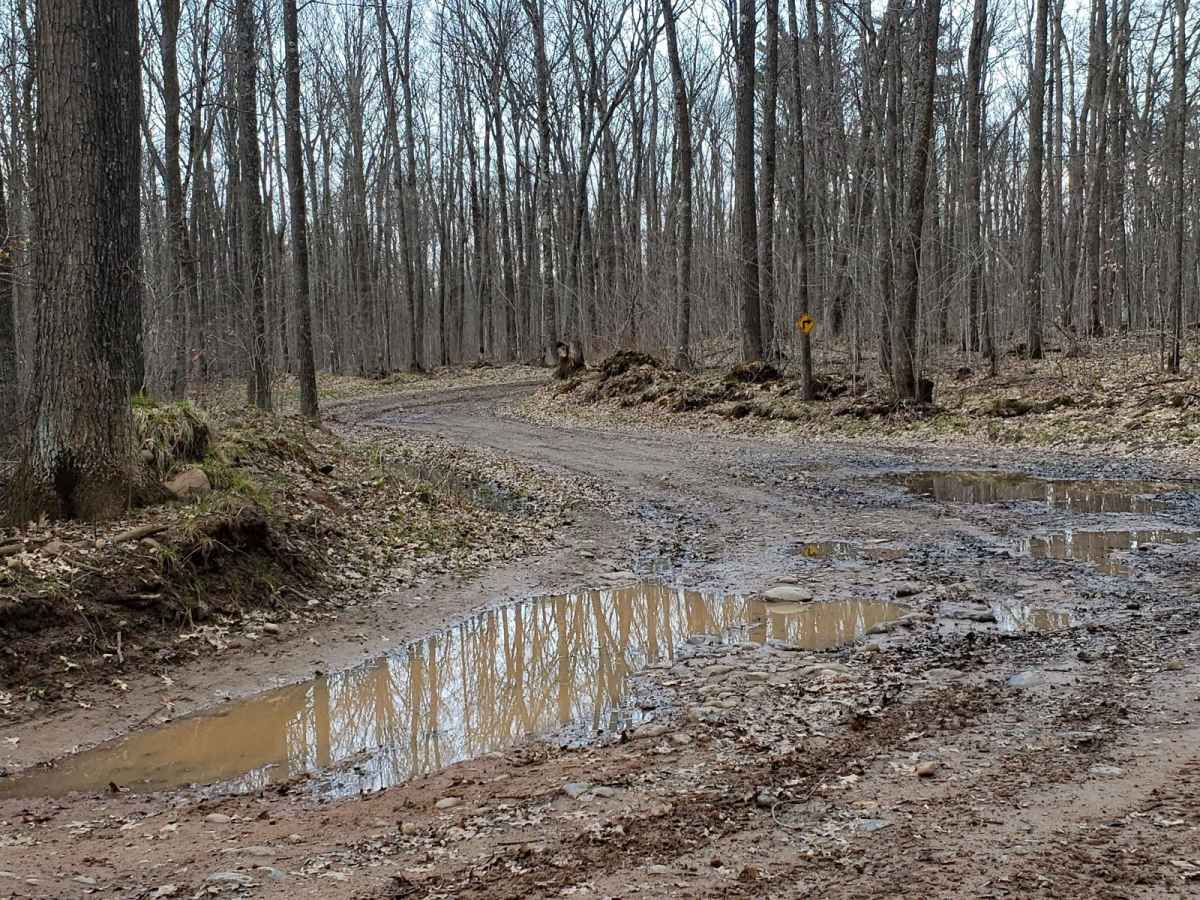 Trail 31 - Part 1 photo 2