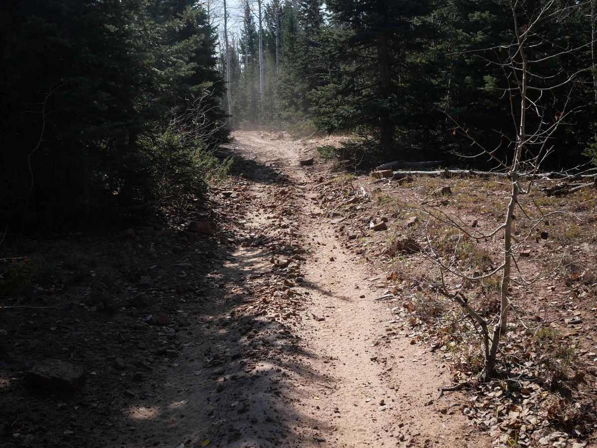 East Fork Dry Creek ATV Trail photo 5