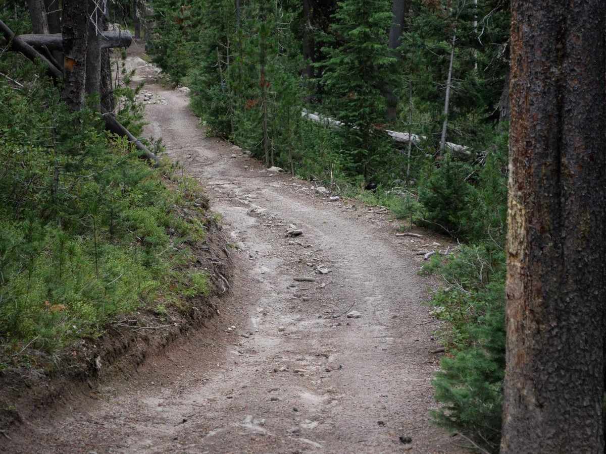 Skyline ATV photo 4