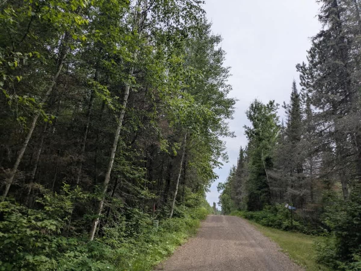 Pine Lake Access Road trail photo