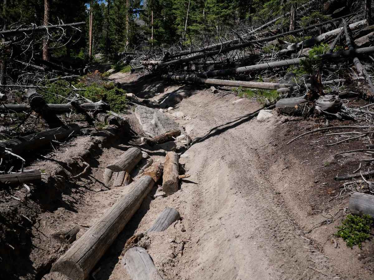 WP231 trail photo