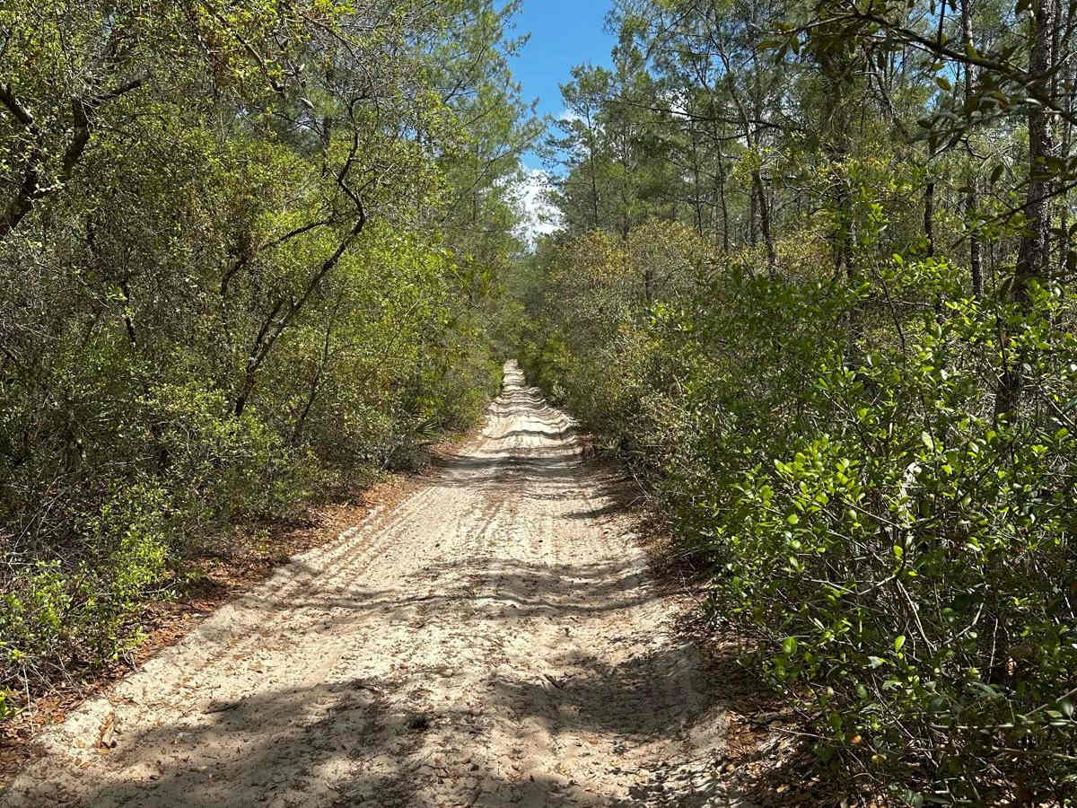 ONF Trail 5-9.0 photo 3