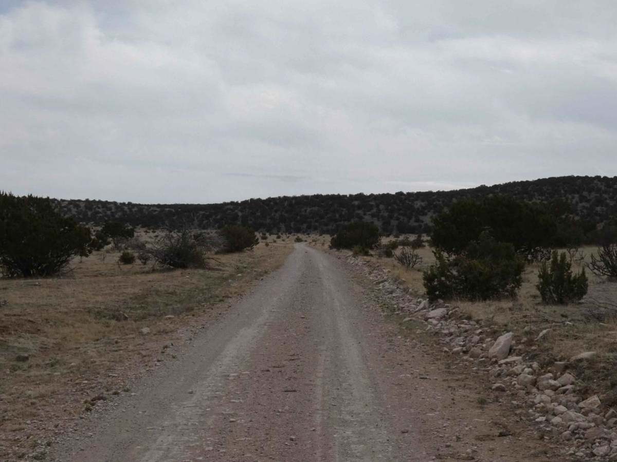 Guadalupe Rim Road photo 5