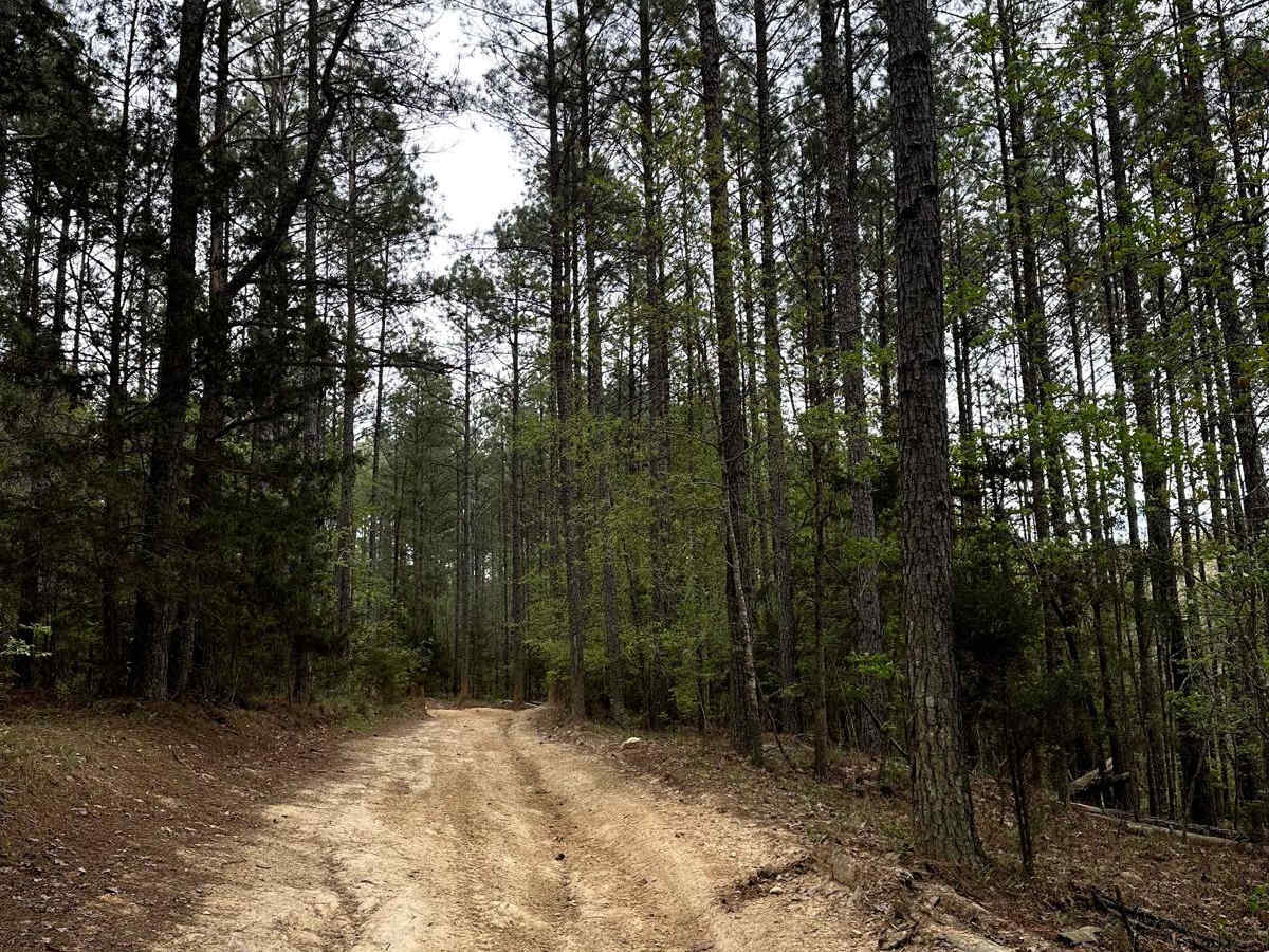 Trail 9 photo 2