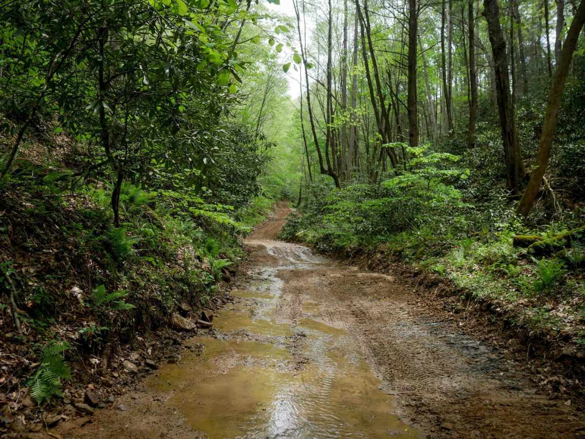 W21 trail photo