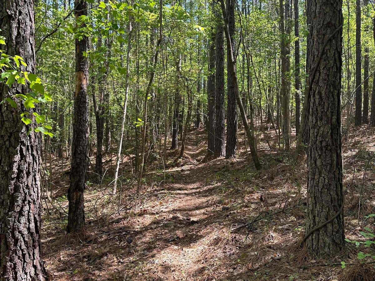 Trail 14 photo 2