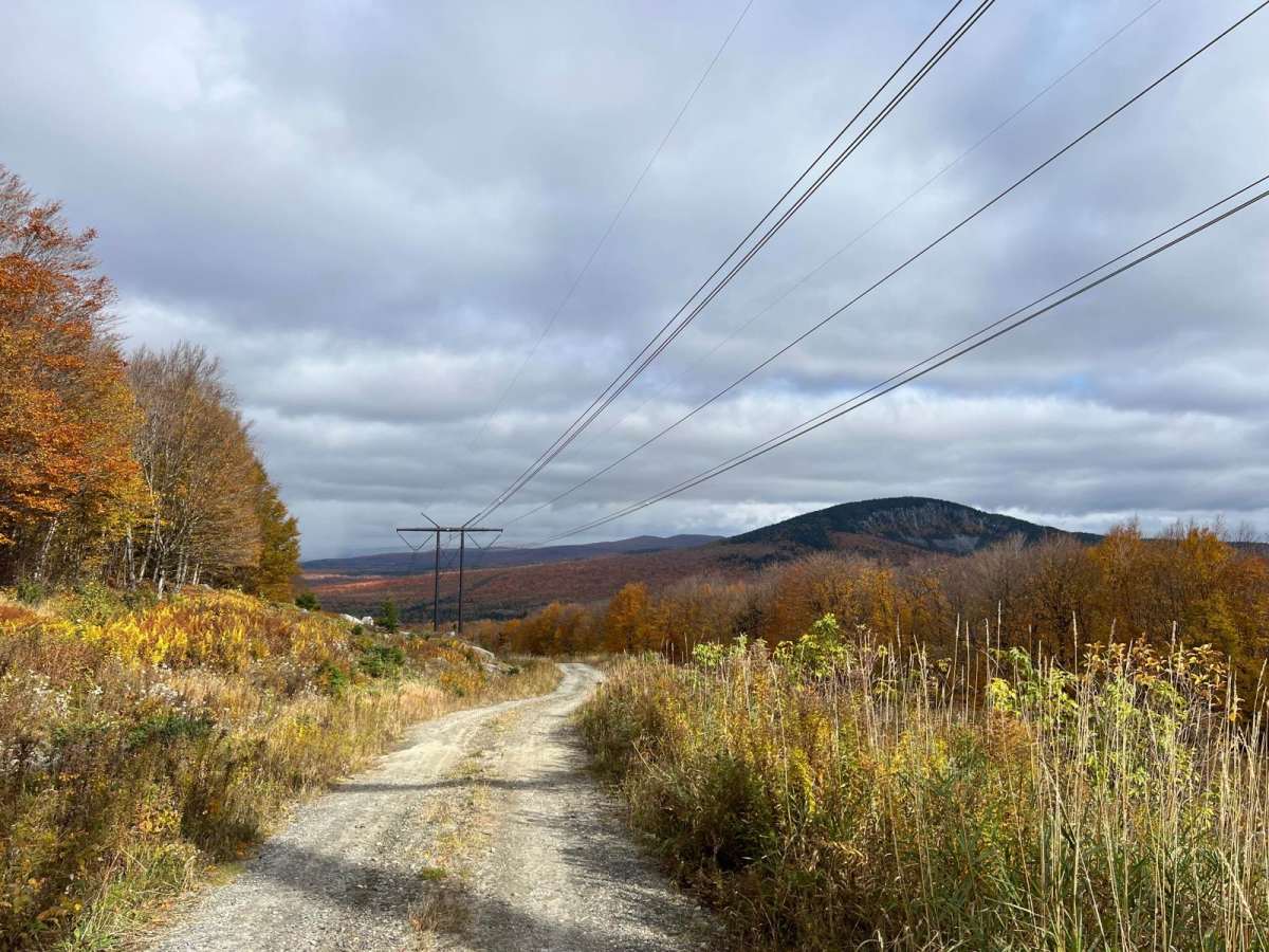 Gaudett Road to Black mountain photo 4