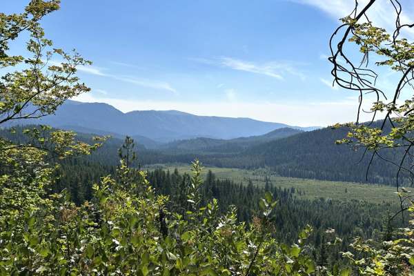 Meadow Ridge Trail