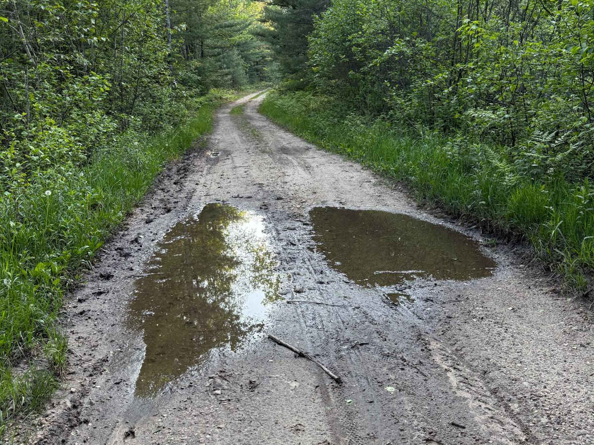 Silver Creek Trail photo 5