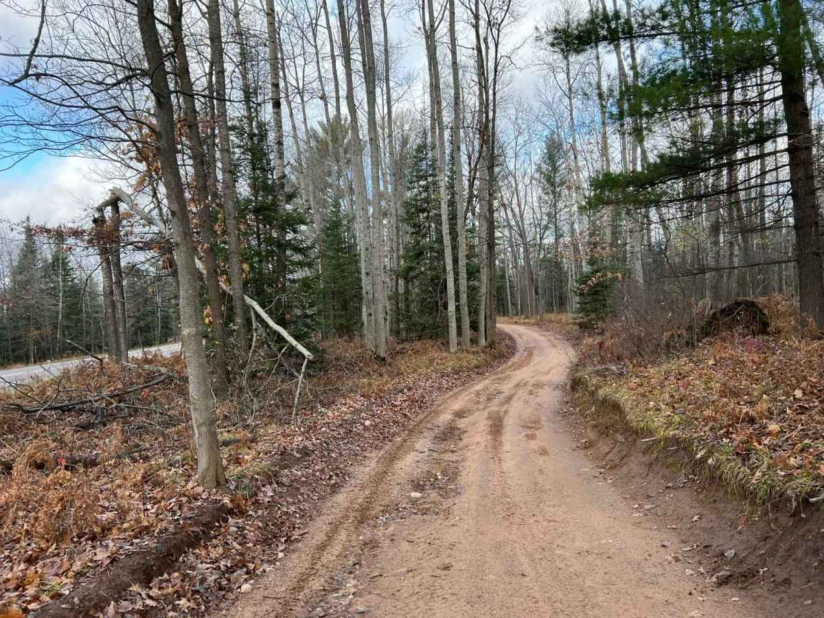 Florence County F16/6 Barrens Natural Area Trail photo 2
