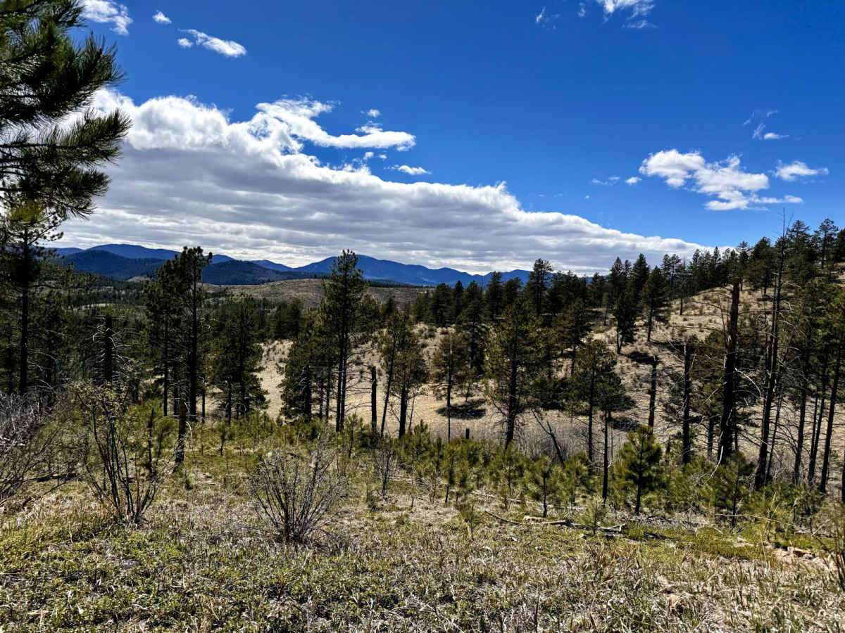 Sportsman Road (FS 897) trail photo