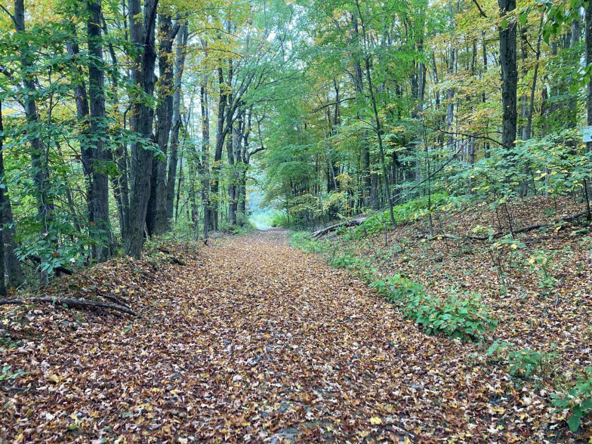 Bellinger Road photo 3