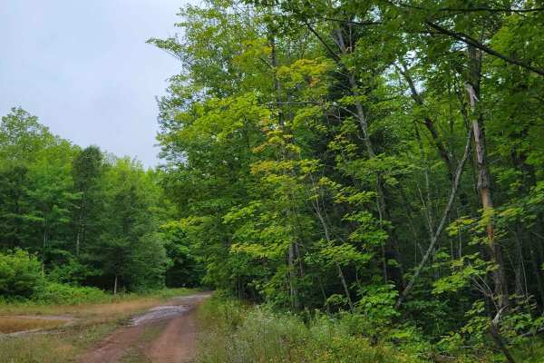 Keweenaw State Trail Segment 1