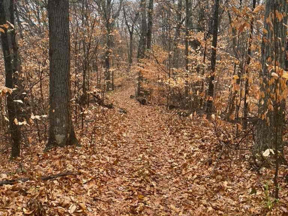 N Hamburg Hill Spur photo 3