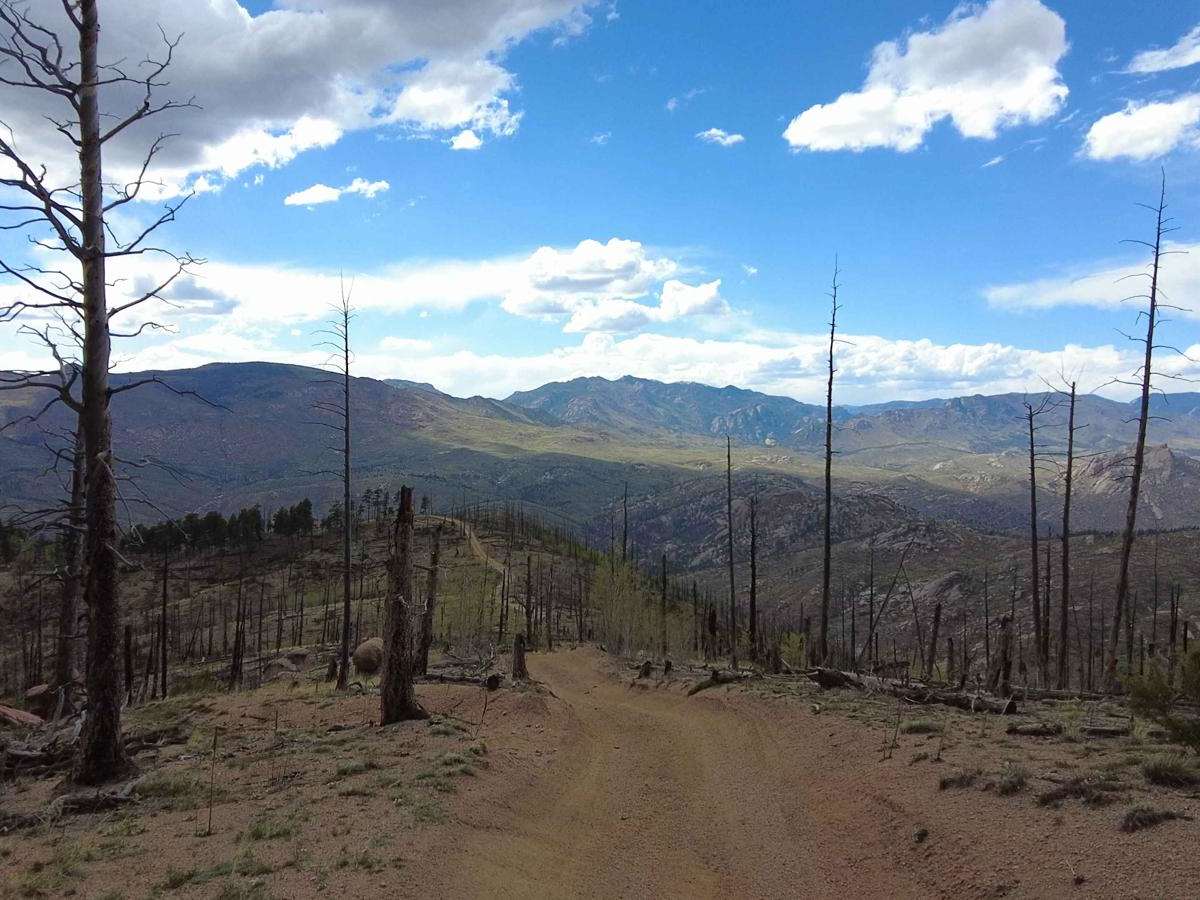 Longwater Gulch photo 4
