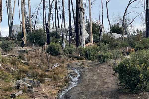 Middle Tuolumne River