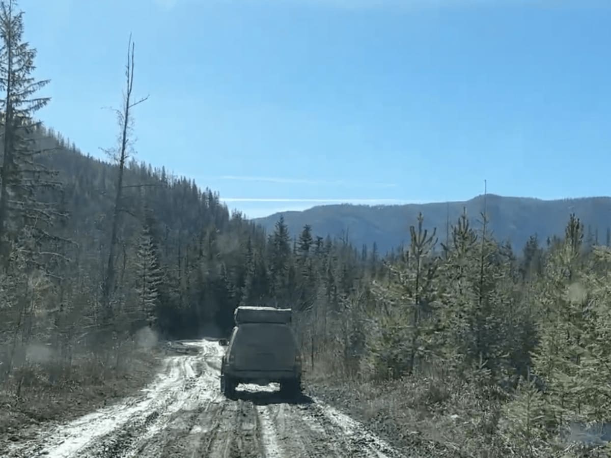 Fork Road - Closed photo 4