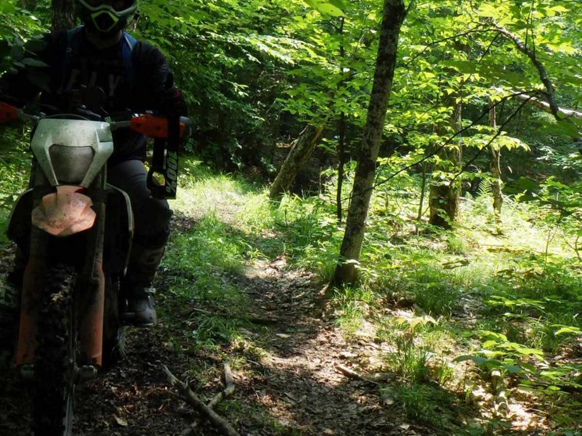 Bay City Lake ATV ORV Trail trail photo